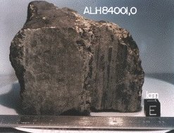 Allen Hills Meteorite