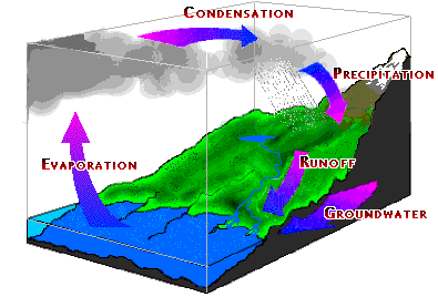 The Water Cycle